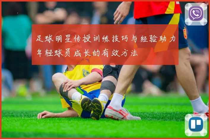 足球明星传授训练技巧与经验助力年轻球员成长的有效方法